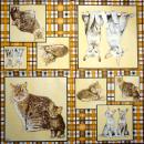 095 Cats - 3-ply - Paw